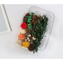 천연 식물 말린 꽃 재료 패키지 DIY 아로마 테라피 왁스 슬라이스 선물 상자 에폭시 수지 보석 만들기 액세, 20 Cypress leaf