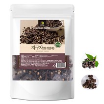 국내산 지구자 (헛개나무열매) 500g 제천약초영농조합, 1개