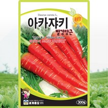 아카쟈키 당근 씨앗 당근 씨 종자 300립, 단품