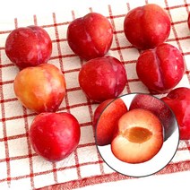 하우스 대석자두 최상급 새콤달콤 500g 1kg, 대석자두 1kg (13-33과)사이즈 혼합, 1개