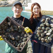 [산지직송] 완도 활 전복 산지직송 가정용 선물용 7미~60미 1kg, 13~15미, 포장안함, 1개