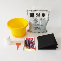 적로메인키우기 7종, 단품