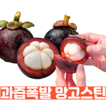 열대과일 여왕 망고스틴 생과 1kg 2kg 항공직송 생, 당도UP 항공직송 망고스틴 2kg (500g *4망), 1개