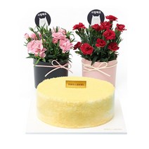 유어버스데이 카네이션 화분+뚜레쥬르 고구마케익
