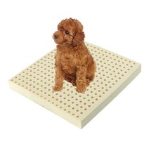 럭스앤펀 100% 천연라텍스 애견방석 L3cm (50*50*3cm) 천연라텍스방석