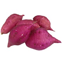 여주 밤고구마 세척 선별 (한입) 공쫄(70g~80g) - 2kg / 군고구마 호박고구마 찐고구마 여주고구마 퍽퍽한 한입밤고구마 꿀고구마, 1개