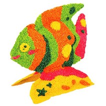 컬러룬 볼클레이 물고기 엔젤피쉬, 30개