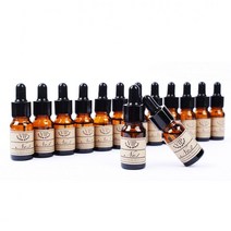 [인기템100]하이폴리머 디퓨져 방향제 향수 차량용 리필용 향기 _ 124235EA, 쿠팡이후상 스파이시우디향