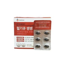 비타마트 혈기큐 쌩쌩 500mg x 60캡슐(30g), 1개(1개월분)
