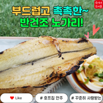 (순이네 건어물) 촉촉한 반건조노가리 400g / 건어물 전문 중부시장 / 도소매 / 다양한 건어물 / 견과류 / 과자