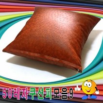 45레자쿠션피모음9레자쿠션피레자쿠션커버쿠션커버, 쿠팡꺼 E-6070