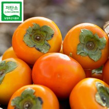 아삭아삭 햇 전라도 단감(부유 3kg 14과내 대)~~SALE!!