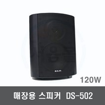 DS-520 120W 실내 매장용 패션스피커-8옴 카페 회의실