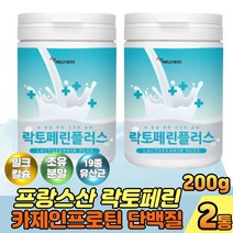 락토페린 가루 미셀라카제인 분리유청단백질 유산균 면역글로불린 초유 분말 유청단백질 분리유단백 락토페린유산균 락토바실러스가세리 성인분유 우유단백질 노인단백질보충제