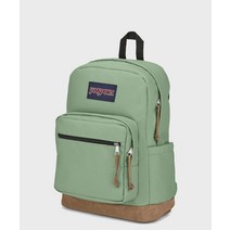 JANSPORT 잔스포츠 라이트팩 LODEN FROST