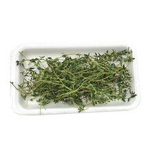 야채왕 타임 1팩 허브 생잎, 1개