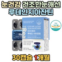 부모님 건조한 눈 개선 루테인 지아잔틴 눈건강영양제 직장인 노인 실버 시니어 50대 60대 70대 눈에좋은 영양제 비타민A 셀레늄 아연 엽산 함유 눈이 침침할때 눈 건강 보조제