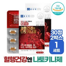 혈행건강 나토키나제 낫토 혈액흐름 원할 혈소판 응집 억제 도움 종근당 건강기능식품, 1set(2박스)