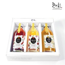 향지촌 천연발효식초 시그니쳐 세트 1호 (달콤사과100ml+오미자100ml+유자100ml), 1박스, 100ml