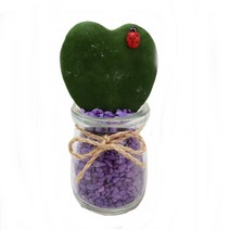 트리앤 수출용 비모란 푸딩병 하트 선인장 스투키 접목선인장 다육이, 45 푸딩병 하트 색돌-보라