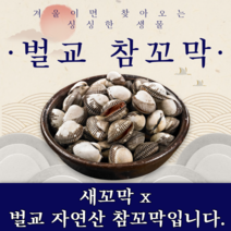 참꼬막 벌교 1kg 자연산 혼합사이즈 제철 꼬막무침, 1개