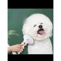 뉴리스 애견 펫 강아지 드라이기 건조기, 단일옵션