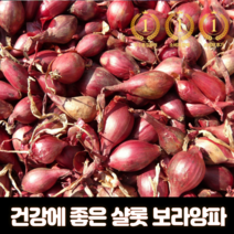 신선하고 맛있는 샬롯 보라색 양파 보라양파 바나나샬롯 미니적 (미니양파) 200g