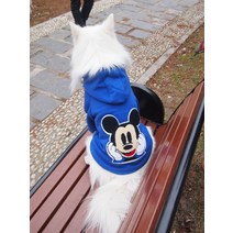 대형견옷 애완동물 중대형견 후리스 후드티 골든리트리버 사모예드 보더콜리 레드 후드 대형견 옷 발 2개옷, C01-M(등길이 45CM가슴둘레 65CM