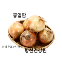 지리산 함양 양파즙 양파진액 양파엑기스 부모님선물 명절선물 양파농축액 혈압혈당관리, 110ml 150포