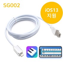 심플리피아노 개러지밴드 아이패드 애플 라이트닝 미디Midi 케이블 (최신iOS14지원), 2m