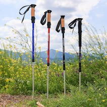 튼튼한 보행용 등산 지팡이 보조 가볍고 지팡이 고령자 단단한 고급 명절 선물 어버이날, 코르크-파랑