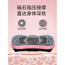 진동운동기 음파운동기 쉐이크보드 덜덜이 흔들운동기구, E