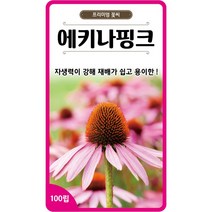 핑크 에키네시아 씨앗 100립 / 에키나핑크 꽃씨 다년생 echinacea seed