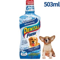 강아지 고양이 마시는치약 가글 덴탈워터 물에타는 시너지랩 덴탈후레쉬, 덴탈후레쉬 화이트닝(미백) 강아지용 503ml