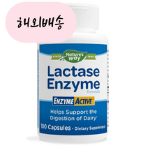 네이쳐스웨이 락타아제 Lactase 690mg 100정, 1개, 100개