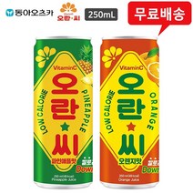 오란씨 파인애플&오렌지 250ml X 각15개(총30개), 상세페이지 참조