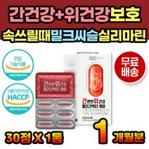 밀크씨슬 추출물 간건강 위건강 위보호 보호제 영양제 실리마린 속이쓰릴때 속이아플때 위아플때 위점막보호제 간보호제 간보호 간케어 간에좋은음식 간에좋은 간영양제 위영양제