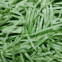 쵸핑 스타핑 27색상 20g, 10다크그린
