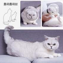 고양이 미용용품 보호 헤드커버 물림방지 헤드볼 투명 타공 목욕, L(5-9kg 권장), 헤드 가드