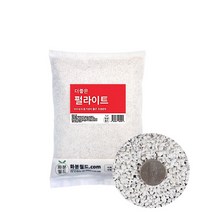 화분월드 더좋은 펄라이트 초경량토 2호 10L, 2개
