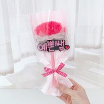 핑크캔디 예쁜쌤 카네이션볼펜, 핫핑크, 무료포장서비스