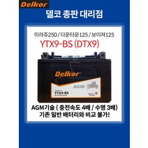 KR모터스 아띠100 배터리 델코 AGM 8Ah