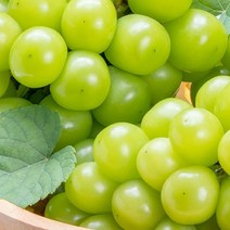 크기 소과 지역 랜덤 특급 샤인머스켓 2kg 보관 제철 가격 키우기 재배, 본상품