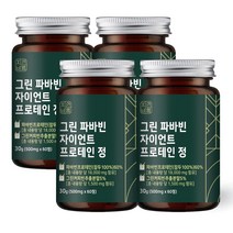 자연바름 파바빈 콩 자이언트 [잠두100%원료] 단백질 분말 가루 정 구절초 수국잎 추출물 여주 돼지감자, 60정 x 4개(8개월분)