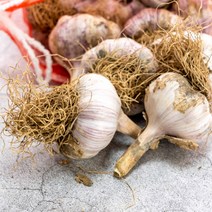 국내산 서산마늘 한접 특대 100개