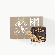 커피박 발굴키트 공룡뼈 발굴 집콕놀이 업사이클링 커피찌꺼기 아이선물, 1박스