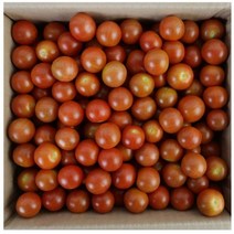 [코스트코 토마토] 체리 토마토 4kg, 단품