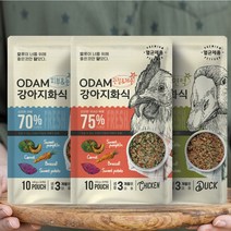 오담 강아지 화식 자연식 사료 100g, 치킨(관절&체중) 100g x 1개
