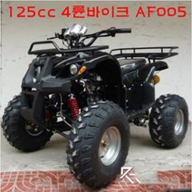 R-BON 125CC 4륜바이크 AF-005