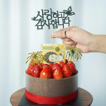 [차렌시아] 돈 나오는 케이크 돈 뽑는 용돈 박스 반전 케이크 돈티슈 만들기 DIY세트, 8. 케이스(대형)+토퍼(사랑하고감사합니다)